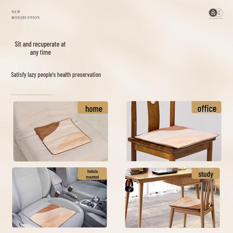 Ai Xiu Tang C1 Wormwood Wellness Cushion