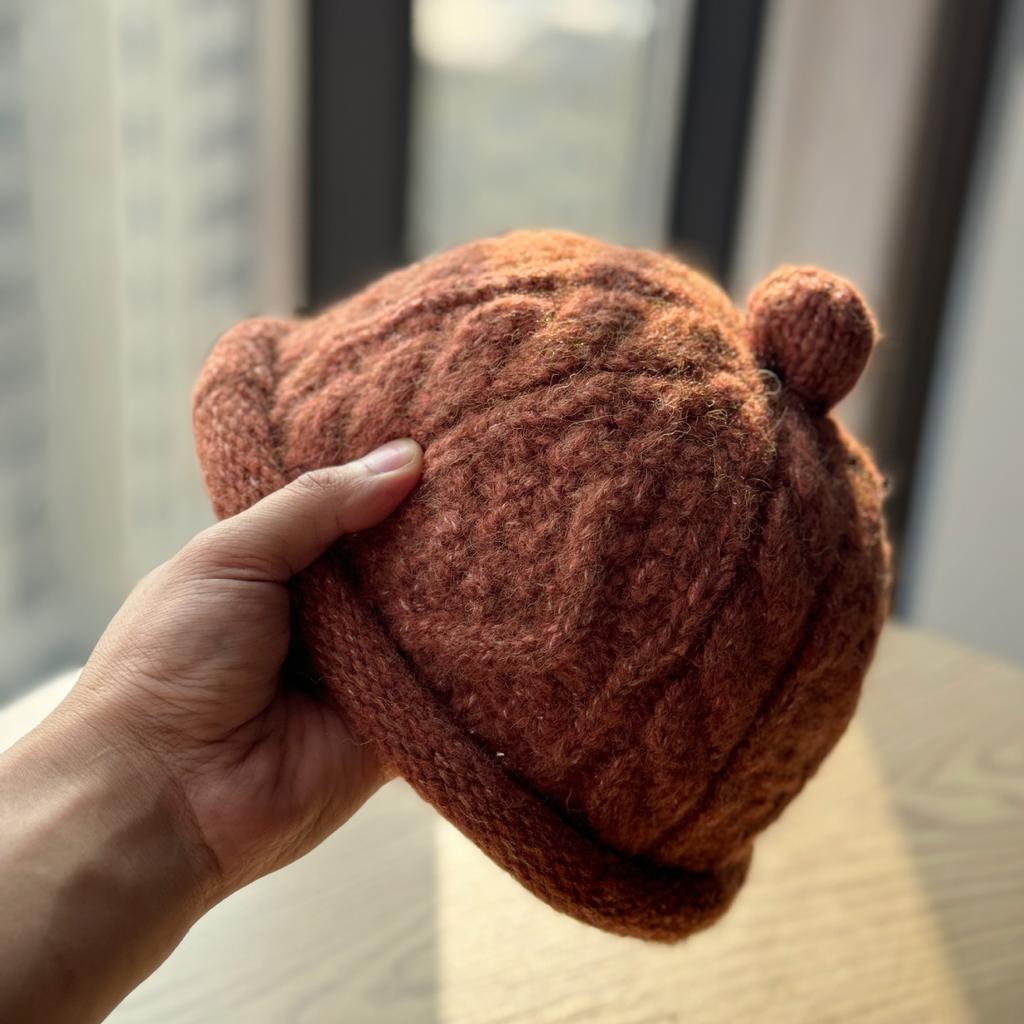 New Cute Little Fur Ball Niche Slim Woolen Hat for Women Autumn and Winter Warm Curled Landlord Hat Knitted Hat Versatile