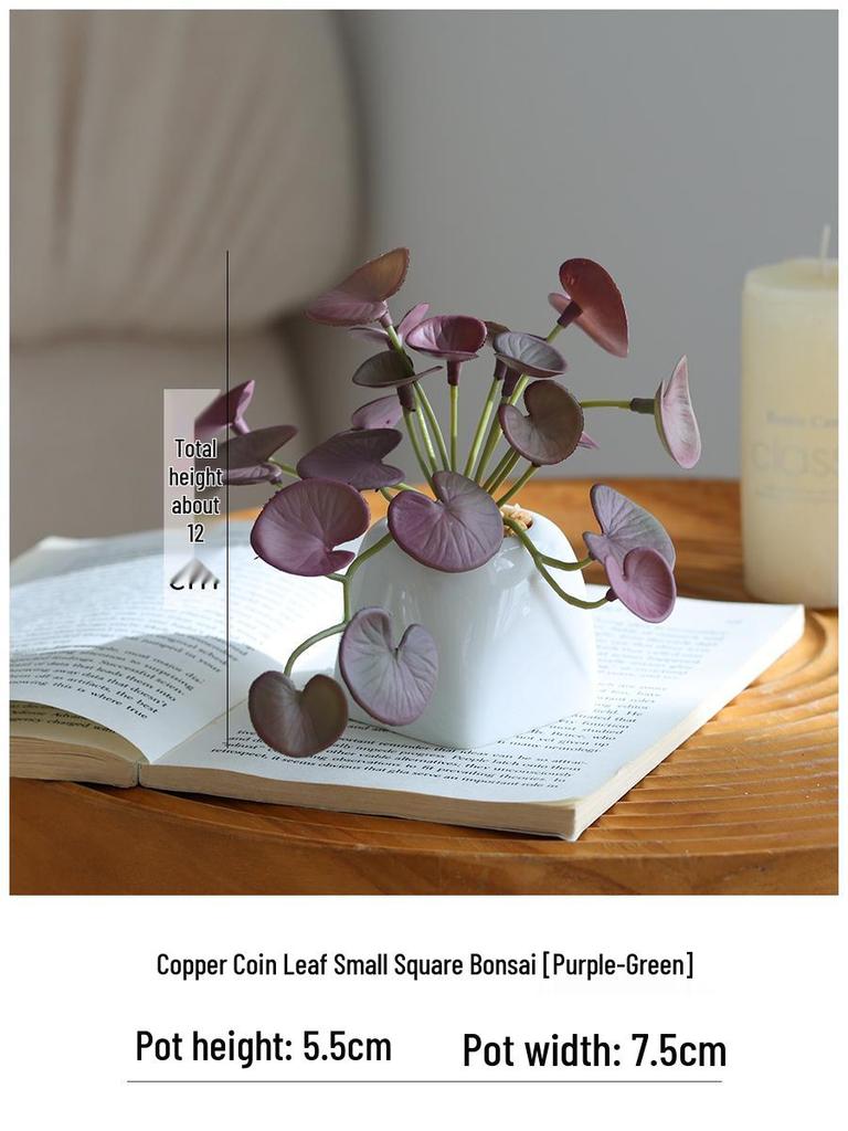 Miniature Succulent Bonsai Desk Ornament: Green Plant Props for Home or Office Decor