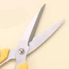 Office Scissors