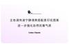 23 MM Jacquard] Spring and Summer V-neck Western Style Gentle Temperament Comfortable Skin Friendly Mulberry Silk T-shirt for Women