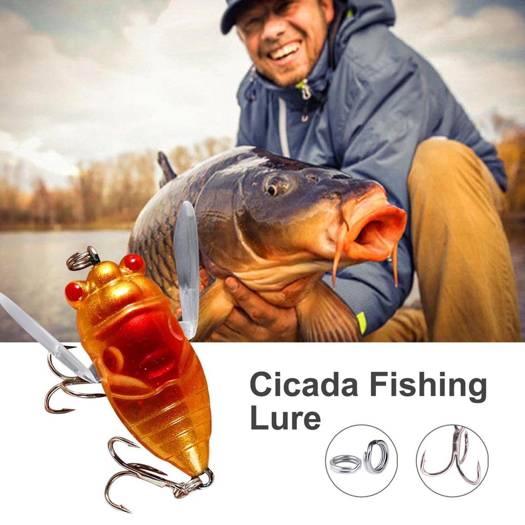 4cm/5.5g Cicada Lures for Fishing Realistic Cicada Hard Fish Lure Fishing Cicada Bait Fishing Bait Lures Fishing Topwater Lure