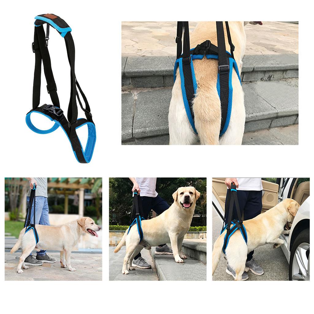 Portable Dog Sling Rope Dog Recovery Harnesses Comfortable Support Harnesses for Weak Rear Legs Walking Assistance
