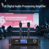 Weishu KX-1200 Professional Conference Audio System (CN version)
