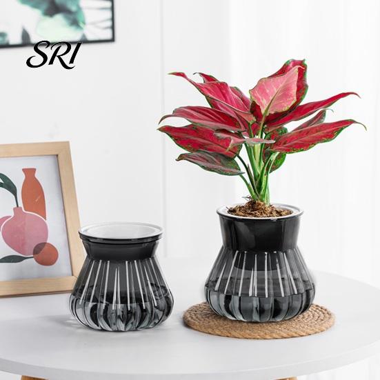 Lazy Gardener Flowerpot Self-watering with Self-absorbing Cotton Rope Creative Plastic Plant Pot Indoor Vertical Grain Glass Planter Inner Cup