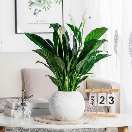 Self Watering Pot for Indoor Plants Plastic Wicking Flower Pot with Inner Pot Modern Decorative Planter for Herbs Flowers House Plants