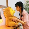 Cute Winnie the Pooh Doll Turned Into a Bear Doll Plush Toy Children's Throw Pillow Gift Mini