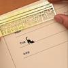Multifunctional Cute Cat Template Hand Account Ruler Metal Hollow Ruler High-value Student Special Ruler Hot Sale Purchase