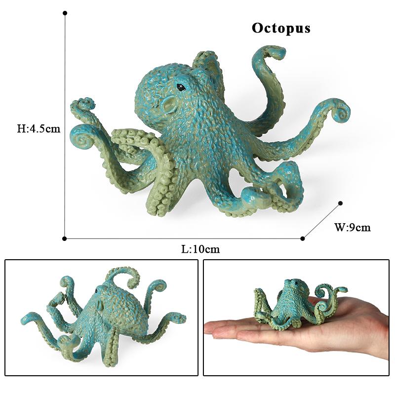 Oenux Marine Molluscs Model Simulation Squid Octopus Growth Cycle Action Figure Sealife Animals Education Collection Kids Toy
