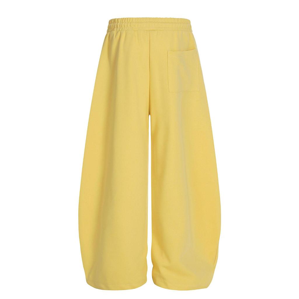 2026 European Style Women's Loose Elastic Waist Wide Leg Pants - Versatile, Trendy, and Casual