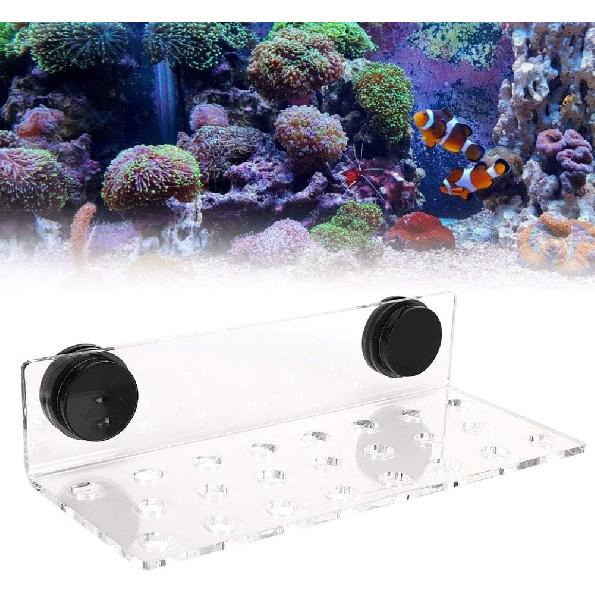 FILFEEL Acrylic Coral Frag Rack Bracket and Wonderful Accessory for Coral Growth Usage for Aquarium Fish 4 Hole Size (Acrylic 2)