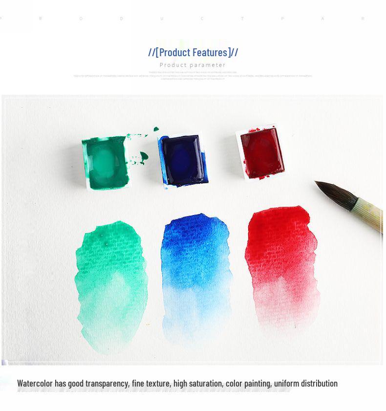 REMBRANDT Solid Watercolor Set: 36/24/12 Color Palette for Artists