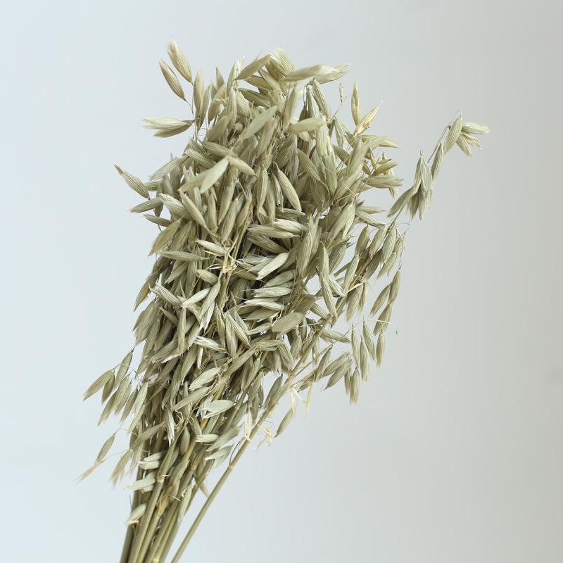 Yunnan Dried & Immortal Flowers Bouquet: Baby's Breath, Roses, Forget-Me-Nots for Home & Homestay Decor