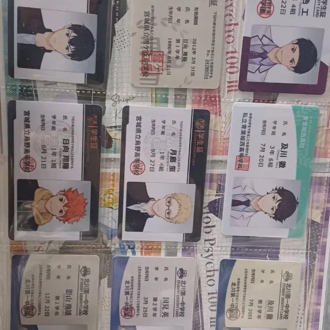 

Пакет из 9 студенческих билетов Haikyu Limu + baboka