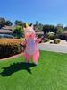 Unicorn Rainbow Inflatable Costume for Christmas & Halloween Parties