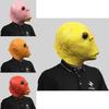 Levendig En Grappig Vissenkop Masker Perfect Voor Verjaardags- En Feestelijke Vieringen