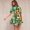 Women's Summer V-Neck Printed Beach Dress Lantern Sleeve Short Dresses