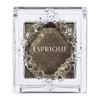 ESPRIQUE SELECT Eye Color BR306 Brown 1.5g