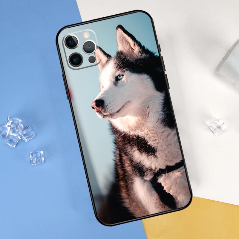 Siberian Husky Sled Dog Phone Case For iPhone 16 Pro Max 12 13 Mini 11 14 15 Pro Max XR 16 15 Plus 16e Cover Shell