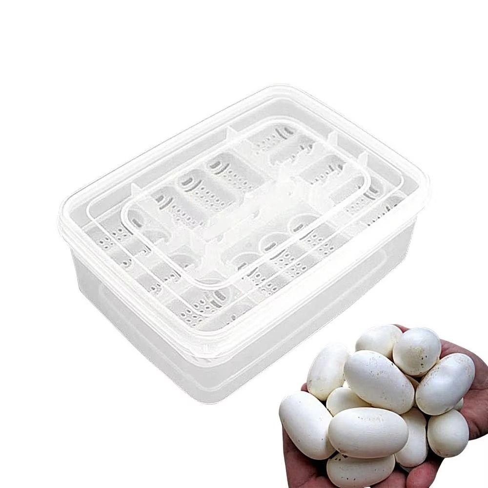 16 Grids Reptile Hatch Box Transparent Reptile Breeding Hatchery Turtles Egg Incubator Tray  Snake