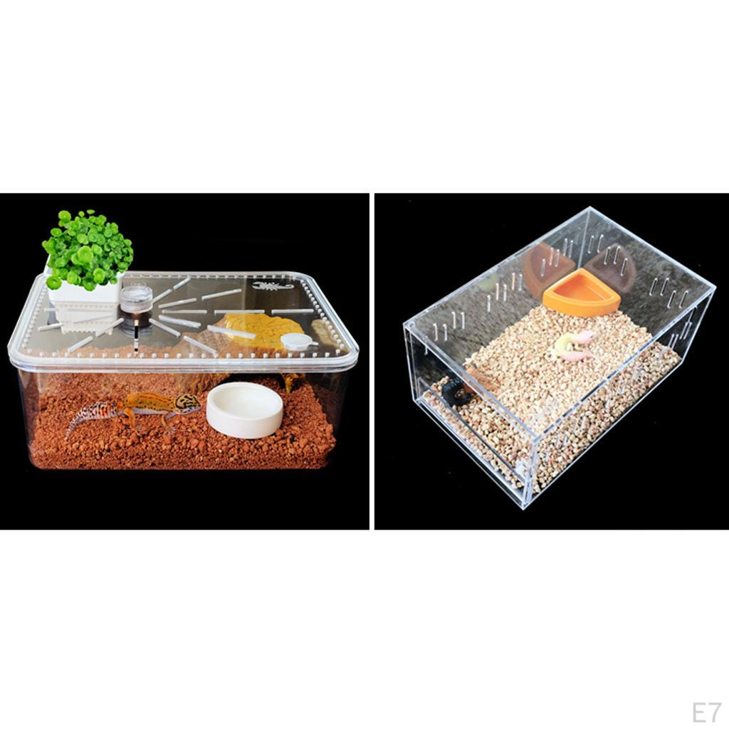 Reptilmatskål Vattenskål Matningsbehållare i Plast för Sköldpadda Spindel Gecko, Vit/Orange