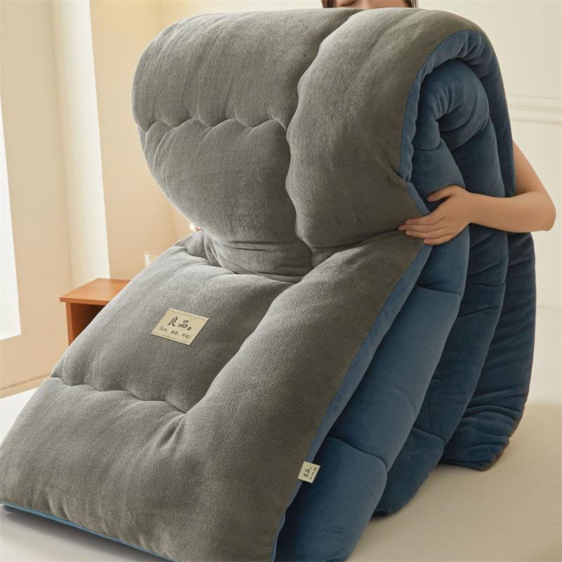 

Thickened Milk Velvet Winter Warm Blanket for Bed Queen Size Soft Flannel Quilt Double-Sided Plush Single Double Thick Comforter 1.5x2.0m 2.5kg