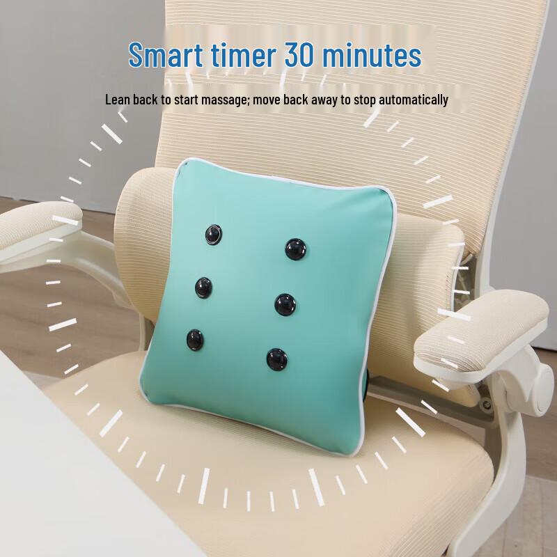 Portable Car & Home Vibration Massage Pillow CN plug (adapter included)