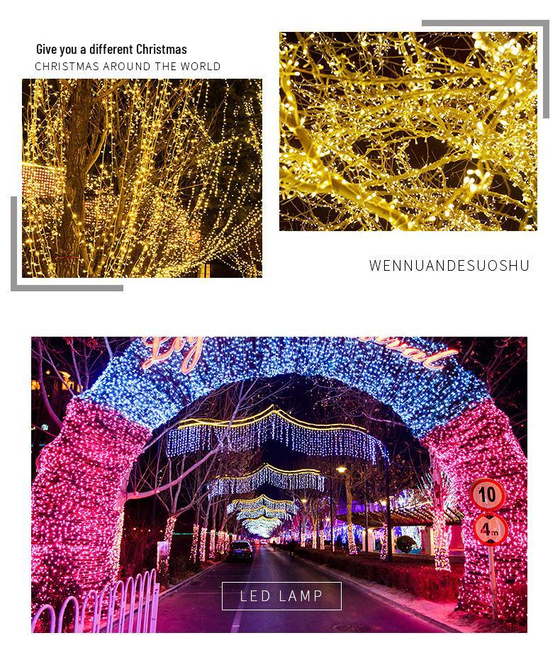 Outdoor LED Twinkling String Lights for Garden, Festival, Christmas, Wedding, Courtyard Decoration