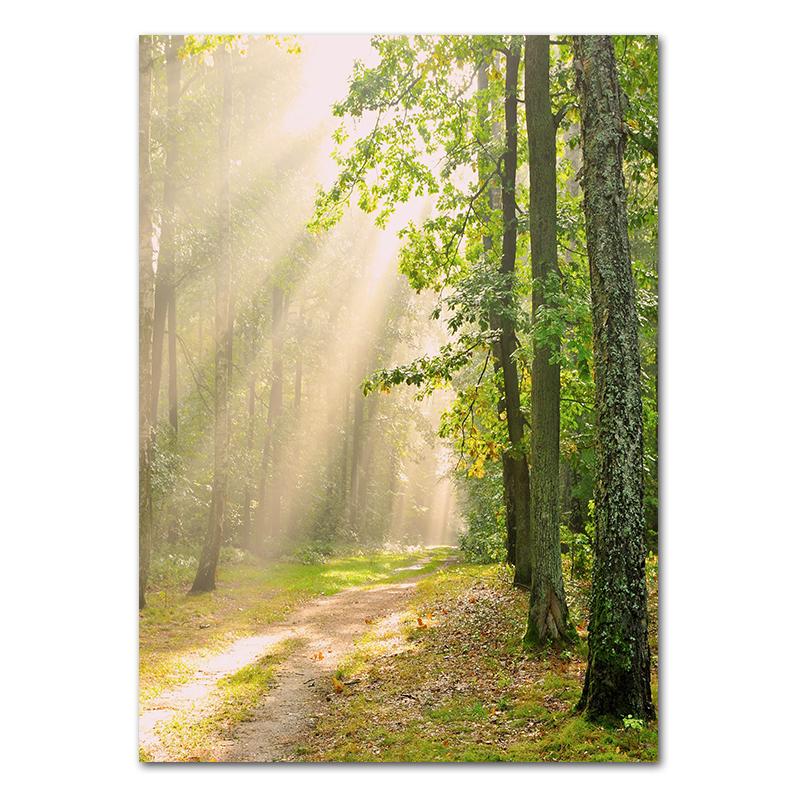 Spring Flowers Tulips Lemon Nature Posters Prints Jungle Deer Bike Wall Art Pictures Canvas Painting Nordic Home Room Decor