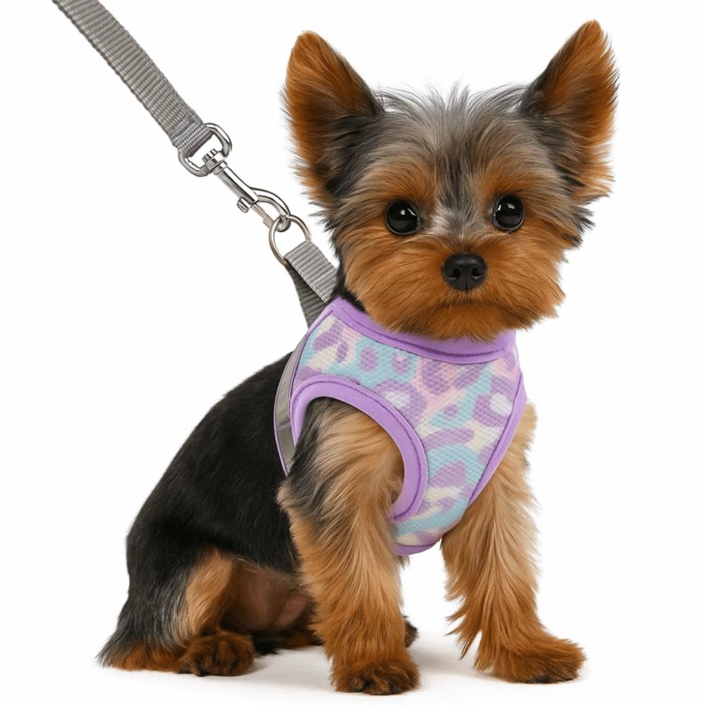Breathable Pet Vest Style Harness Adjustable Pet Chest Strap Dog Harness Leash Set  Chihuahua