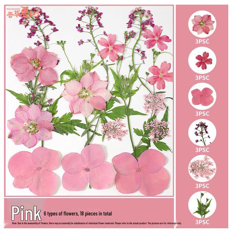 Handmade Pressed Flower Bookmark and Epoxy Sticker Pack with Real Leaf and Plant Specimens for DIY Face Makeup.
