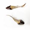 Plastic Ancient Marine Animal Toy Figures Nautilus,Baculites,Cephalaspis,Opabinia,Dunkleosteus Prehistoric Educational Toys