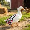 Breathable Duck Diapers Adjustable Goose Diaper Creative Poultry Nappy  Pet Supplies