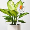 Self Watering Globes Glass Cat-shaped Plant Watering Bulbs Automatic Self-watering Globes for Indoor Outdoor Potted Plants