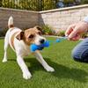 Dog Chew Toy, Teeth Cleaning Mouth Prop, Chew Toy Keeps Dog Mouth Open for Easy Brushing, Small Medium Large Dogs Oral Care Tool