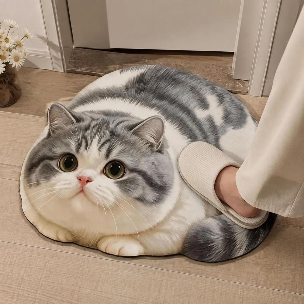 Diatomaceous Earth 3D Cat Floor Mat 45×60CM Bedroom Door Rug Creativity Bathroom Carpet Home Decor