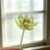 Mini Statuetta Fiore in Vetro Fatto a Mano Bouquet di Loto Finto Cristallo per Arredamento Tavolo Casa Ufficio Regalo per Mamma Moglie