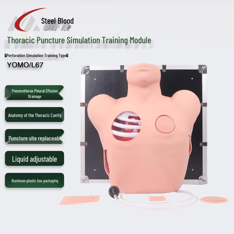 Thoracic Puncture Training Module