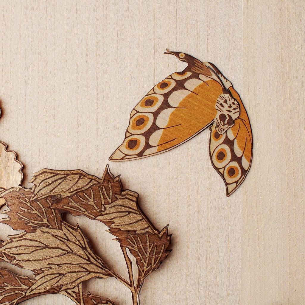 KINOWA "Peony and Butterfly" Woodcut Original Handmade Kit Ukiyo-e Hokusai Flower and Bird Painting Collection Made In Japan