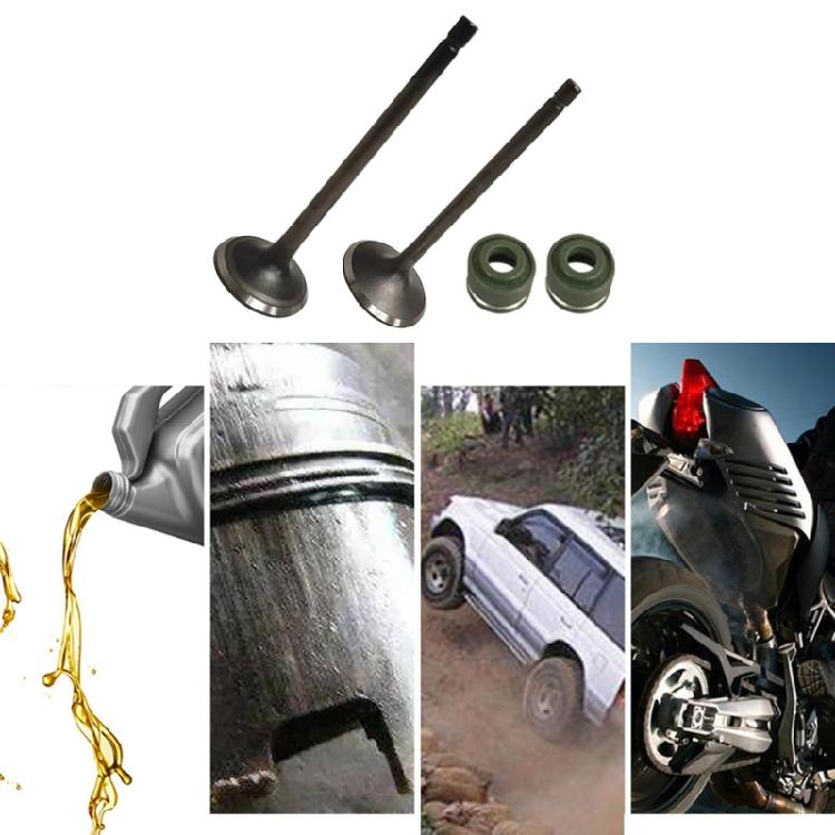 Motorcycle Engine Intake Exhaust Valves Stem Guide Oil Seal Motorbike Accessories Engine Spare Parts for CG250 250CC