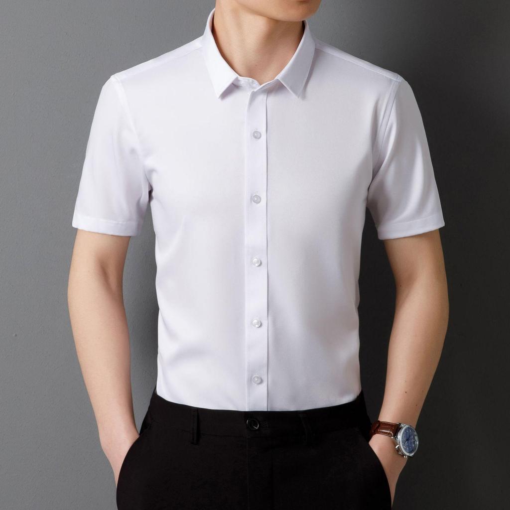 Men's 2025 Non-Iron Plus Size White Korean Style Business Casual Slim Fit Long Sleeve Shirt