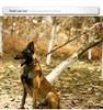 Nylon Wear-Resistant Adjustable Dog Collar for Medium To Large Dogs - Tactical Outdoor Training Collar