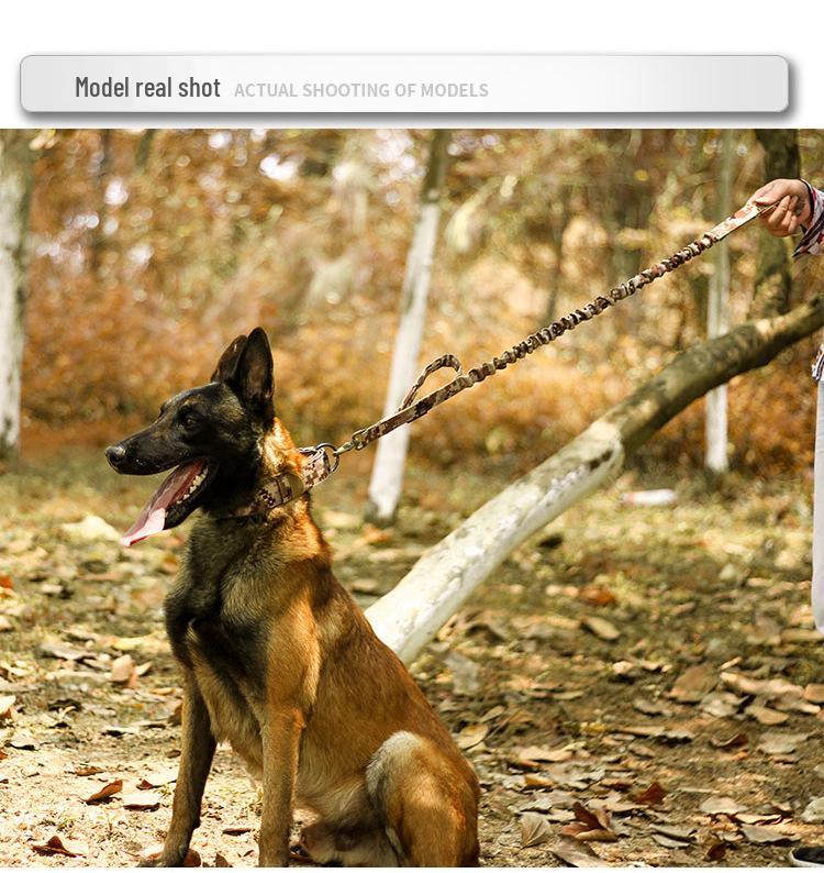 Nylon Wear-Resistant Adjustable Dog Collar for Medium To Large Dogs - Tactical Outdoor Training Collar