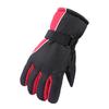 Winter Ski Gloves Windproof Waterproofing Plush Lining Warm Motorcycle Gloves for Skiing Cycling Hiking Climbing