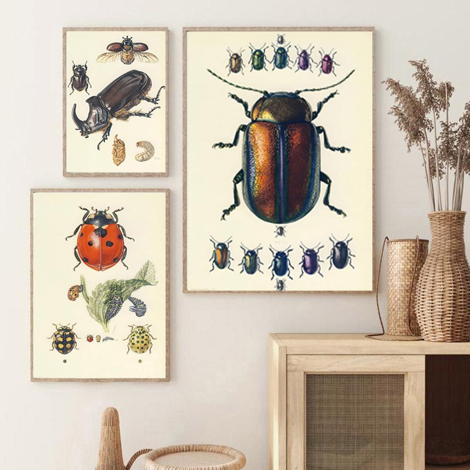 Vintage Käfer Insekt Probe Illustration Nordic Wand Kunst Leinwand Malerei Poster Und Drucke Bilder Für Wohnzimmer Dekor