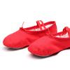 Women's Soft Sole Dance Shoes Non-Slip Cat Paw Ballet Slippers for Yoga,Practice Jazz