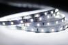 Taśma Led 12V 6W/M Biała Zimna 6500K 5M 300Lm Rolka Listwa Paski Hqs Pr