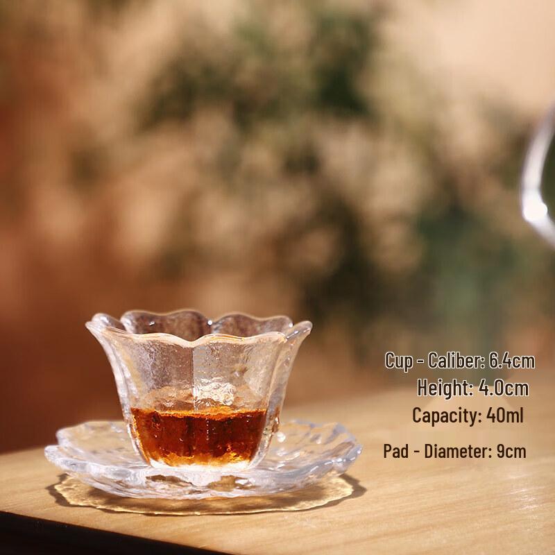Qiwei Japanese Style Small Glass Pour-Over Coffee & Tea Cup