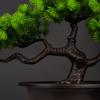 Plastic Artificial Pine Plants Bonsai Realistic Artificial Bonsai Plants  Indoor