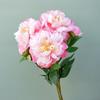 Flexible Artificial Peony Flowers Silk Peony Flower Bouquet 2 Heads Peony Flowers  Living Room